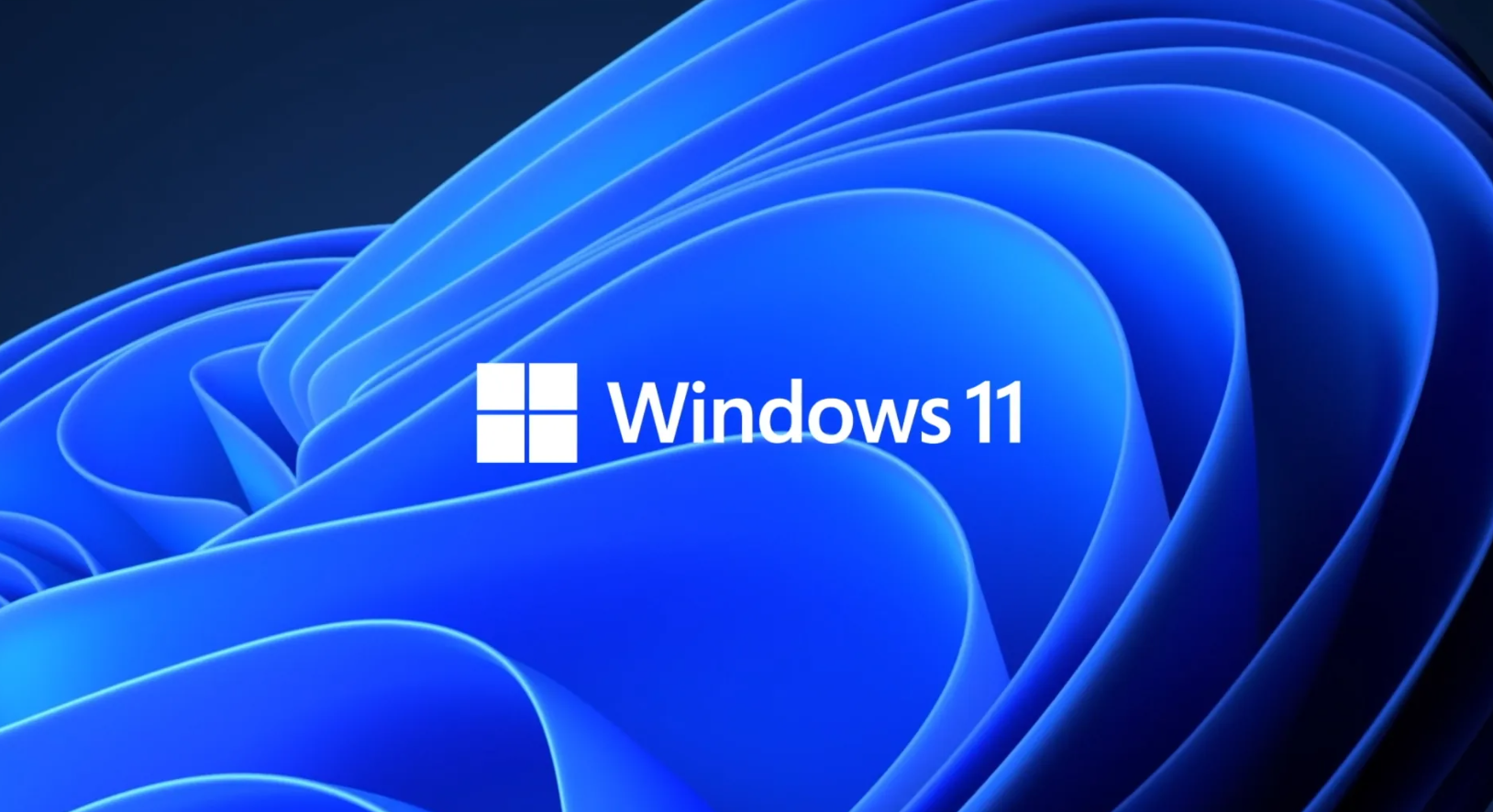 How to download and install Windows 11? 