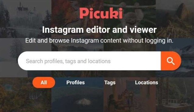 Picuki for Instagram: Is it Really Safe and Anonymous?